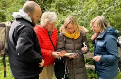 Outdoor Escape Gruppe - Fortgeschritten "Fluch der Meersburg" Meersburg