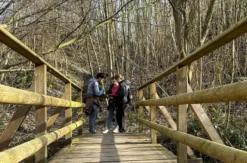 Outdoor Escape Gruppe - Fortgeschritten "Fluch der Meersburg" Meersburg