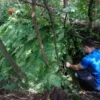 Outdoor Survival Camp Großsteinbach