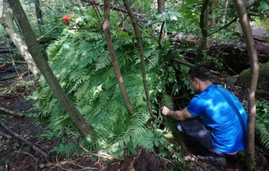 Outdoor Survival Camp Großsteinbach