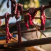 Outdoor Survival Kurs - Vertiefung