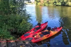 Paddle Tour Heidelberg (2 Std.)