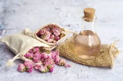 Parfum Workshop
