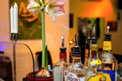 Parfum Workshop und Party inklusive Drinks Wien