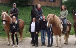 Pferde Abenteuer Dasing