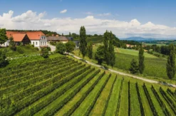 Picknick Bad Waltersdorf