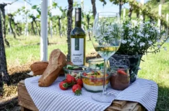 Picknick für 2 Schriesheim