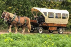 Planwagenfahrt Langenfeld für 2