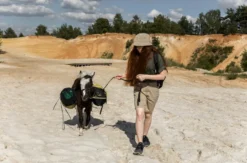 Pony Spaziergang für 2