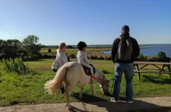 Pony Spaziergang für 2
