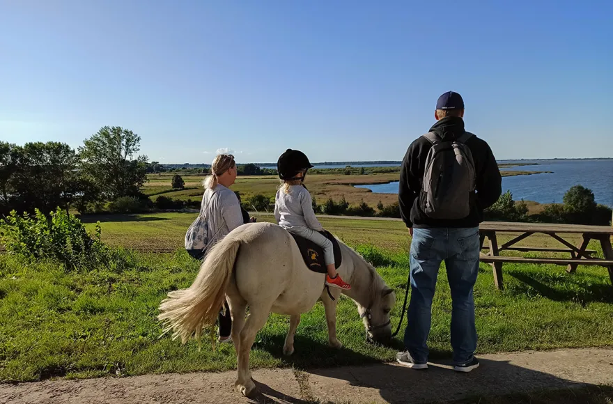 Pony Spaziergang für 2