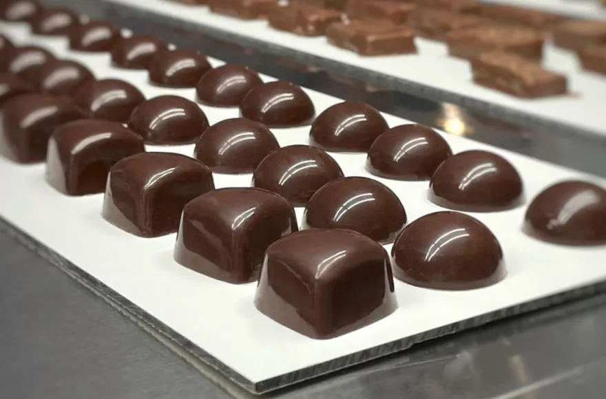 Pralinen Workshop Mannheim