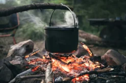 Premium Wildnis Kochkurs Zwingen