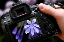 Privater Fotokurs online