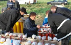 Pyrotechnik Workshop Edemissen