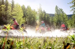 Quad Offroad Tour im Mühlviertel