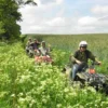 Quad Tour Mecklenburger Seen