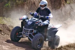 Quad-Tour mit BBQ Interlaken