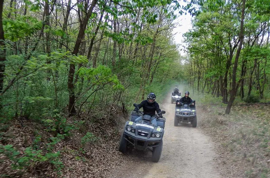 Quad Tour Neusiedlersee - Genießer (2 Std.)