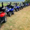 Quad Tour Neustadt an der Weinstraße (4 Std.)