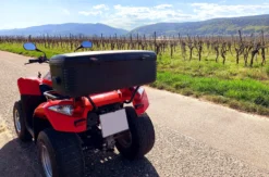 Quad Tour Neustadt an der Weinstraße (4 Std.)