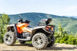 Quad Wahlgutschein