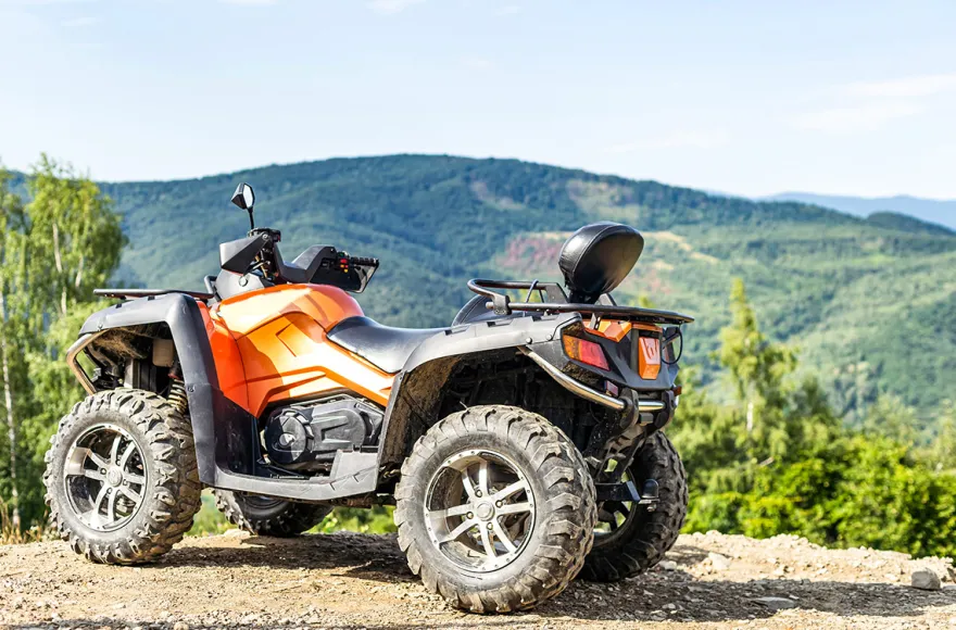Quad Wahlgutschein