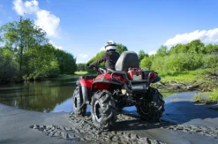 Quad Wahlgutschein