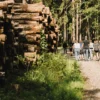 Quizwanderung Überwald Grasellenbach