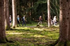 Quizwanderung Überwald Grasellenbach