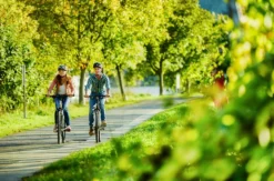 Radtour mit Schifffahrt auf der Mosel und Picknick