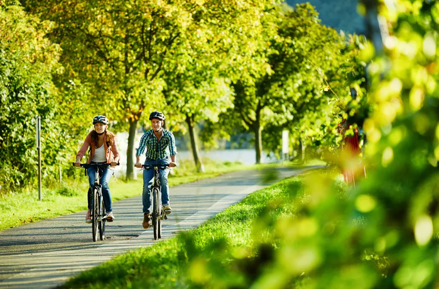 Radtour mit Schiff Zell (Mosel)
