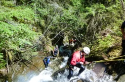 Rafting und Canyoning in der Imster Schlucht