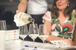 Rebsortenkurs mit Degustation für 2 Solothurn