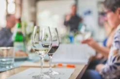 Rebsortenkurs mit Degustation für 2 Solothurn
