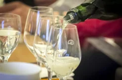 Rebsortenkurs mit Degustation für 2 Winterthur