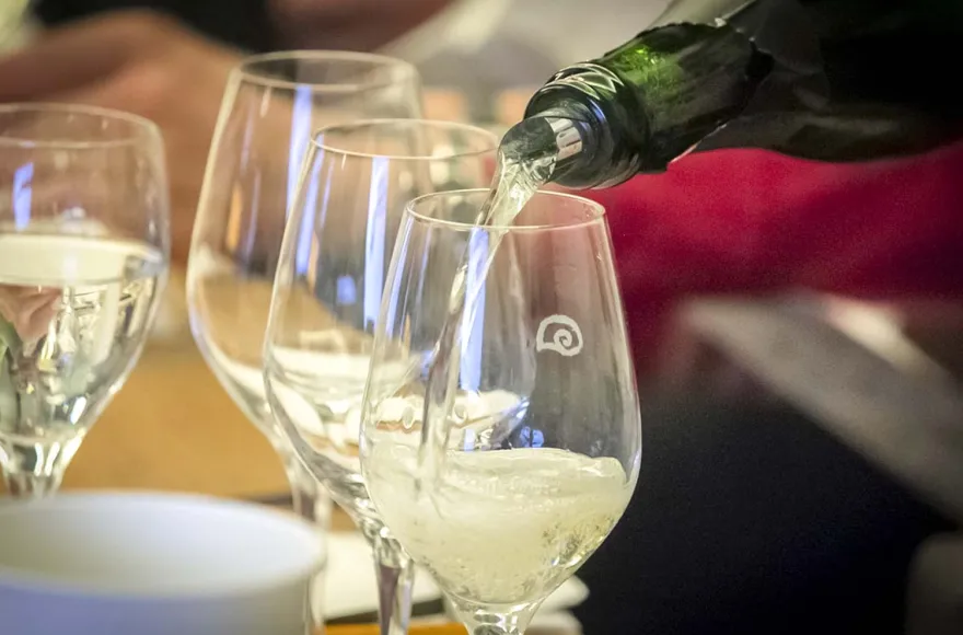 Rebsortenkurs mit Degustation für 2 Winterthur