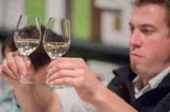 Rebsortenkurs mit Degustation für 2 Regensburg