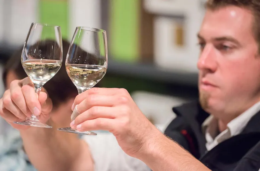 Rebsortenkurs mit Degustation für 2 Karlsruhe