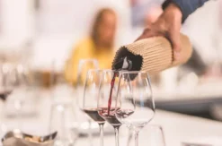 Rebsortenkurs mit Degustation für 2 Karlsruhe