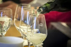 Rebsortenkurs mit Degustation Thun