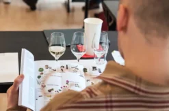 Rebsortenkurs mit Degustation Berlin