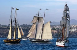 Regatta Segeln Rostock zur Hanse Sail