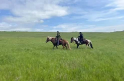 Reiten und Yoga mit Übernachtung Aschbach