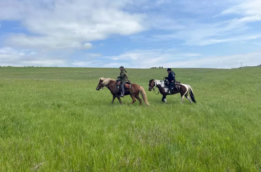 Reiten und Yoga mit Übernachtung Aschbach