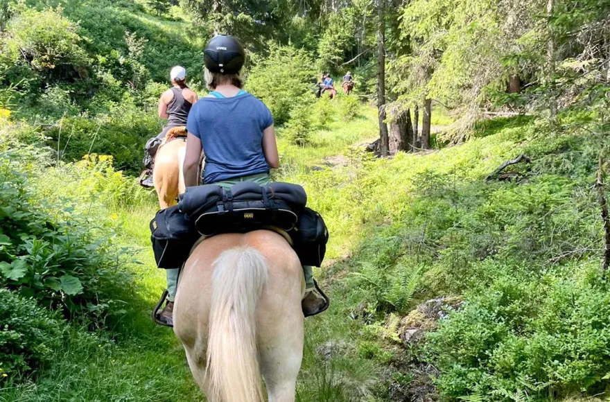 Reiten und Yoga mit Übernachtung Aschbach