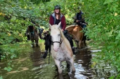Reiten und Yoga mit Übernachtung Aschbach