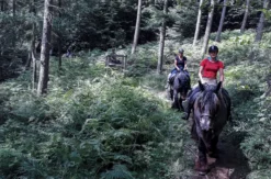 Reiten Windeck