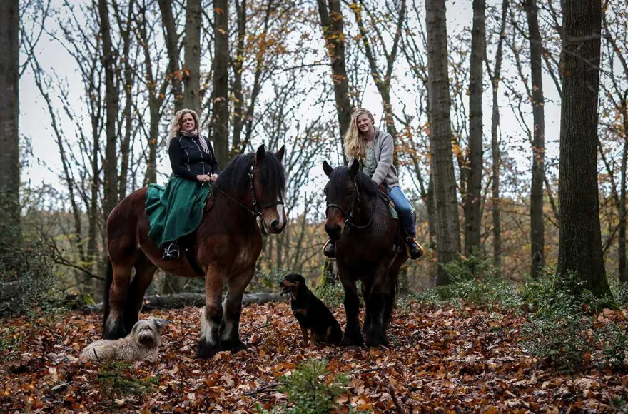 Reiten Windeck