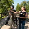Rennreiten für Einsteiger Bad Doberan